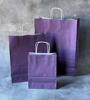 FSC®Coloured Twisted Handle Kraft Paper Bags - 180 x 80 x 225