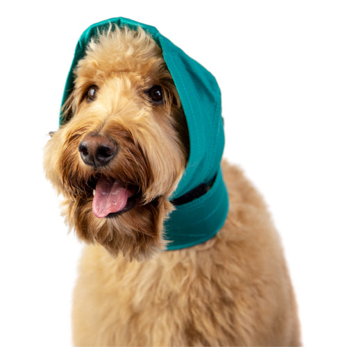 No Flap Ear Wrap