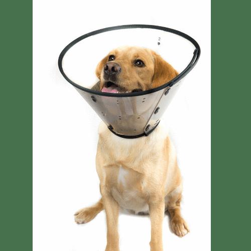 Smart Clear Collar 28cm