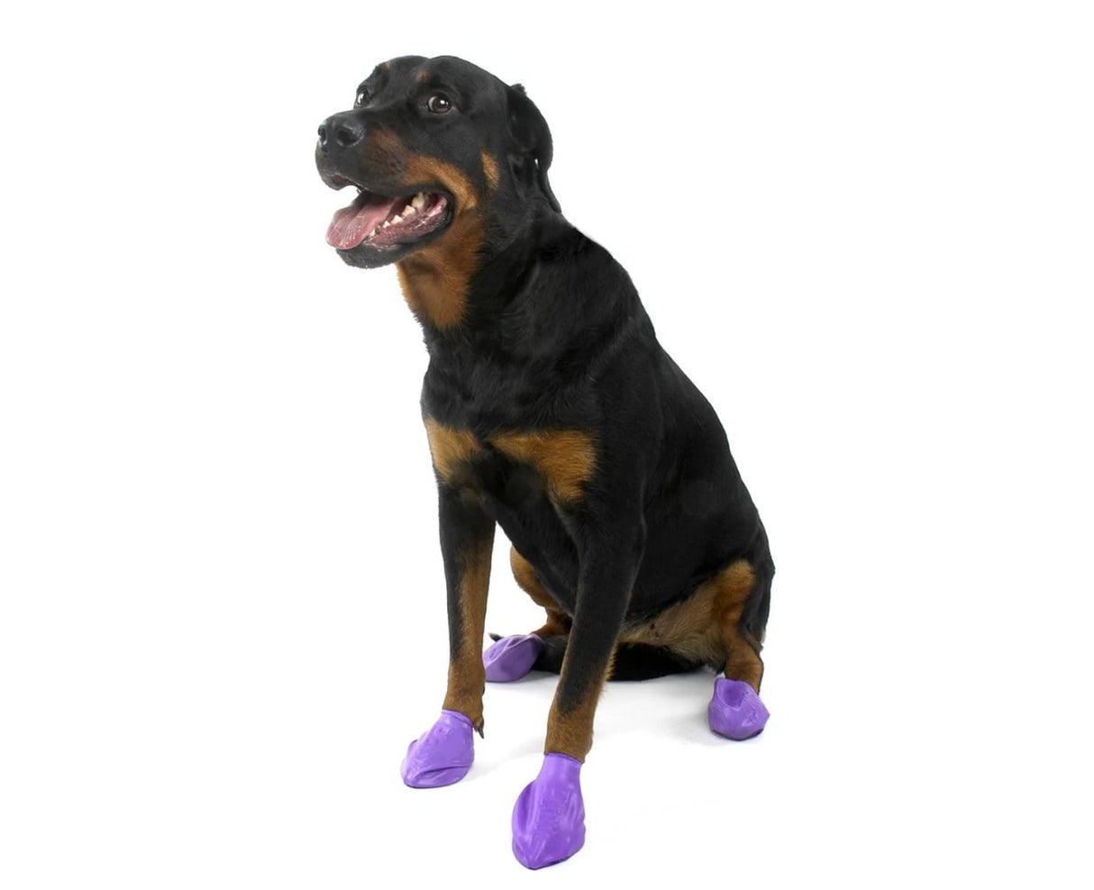 Pawz Dog Boots
