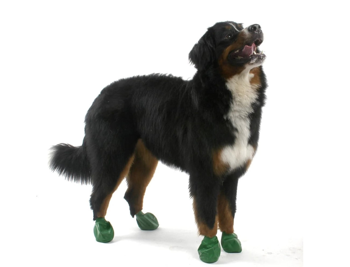 Pawz Dog Boots