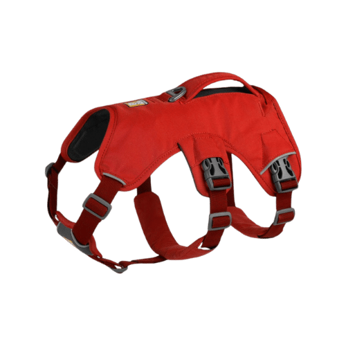 Web Master™ Dog Harness with Handle (Red)