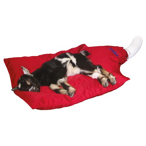 Patient Warming Blankets - Reusable