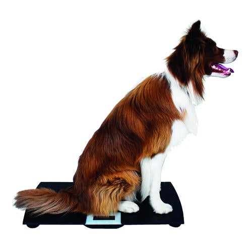 Walk on Scales - 716x412mm, 100kgx50g