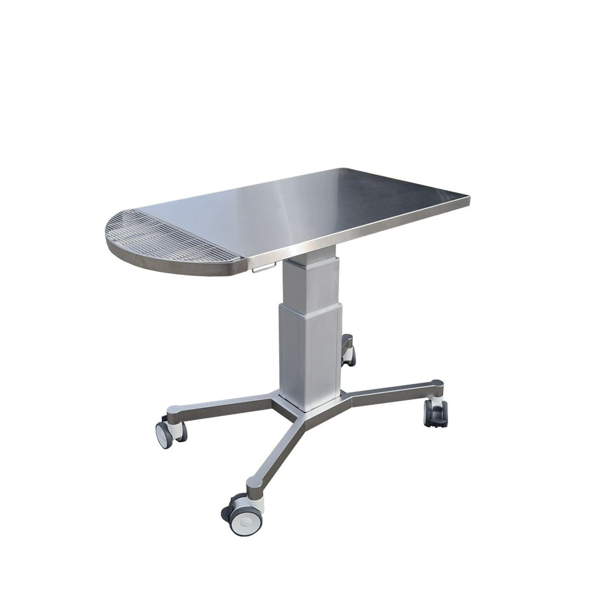 iM3 Hanna Dental Table with Feline Tray