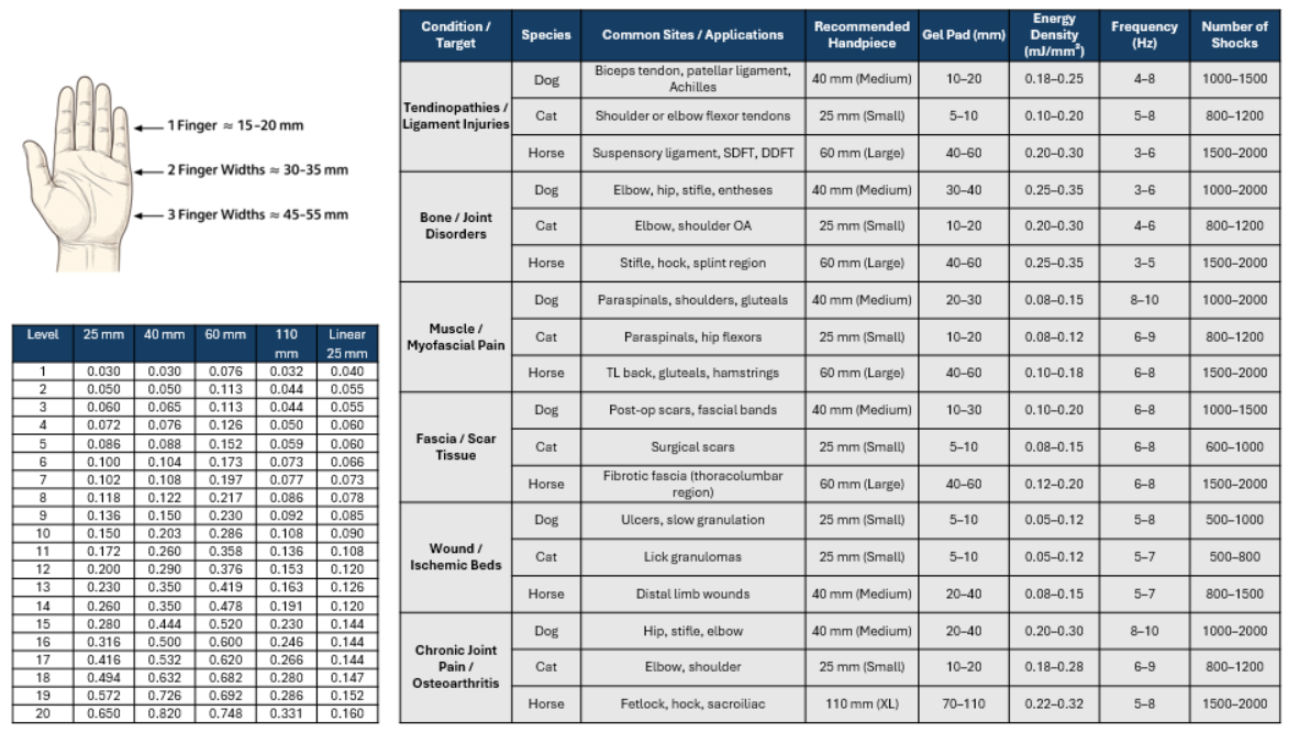 MPACTVet™ Shockwave Therapy