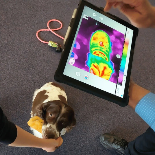 Dog interacting with a person holding a tablet displaying a thermal imaging screen.