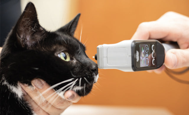 Reichert® Tono-Vera® Vet Handheld Veterinary Tonometer