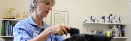 Laser Therapy in Practice: Supporting the Patients Already in Front of You
