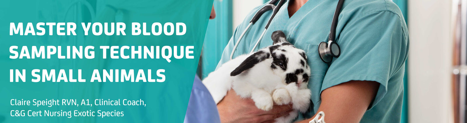 Master Your Blood Sampling Technique in Small Animals