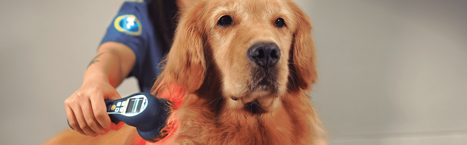 Strategic Veterinary Equipment Investments: Mastering ROI for Practice Growth