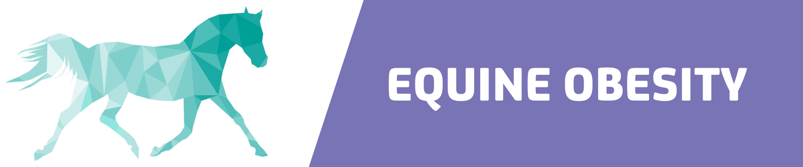 Equine Obesity, Do We Have A Pproblem In The UK?