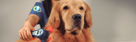 Super Pulsed Laser Therapy Explained