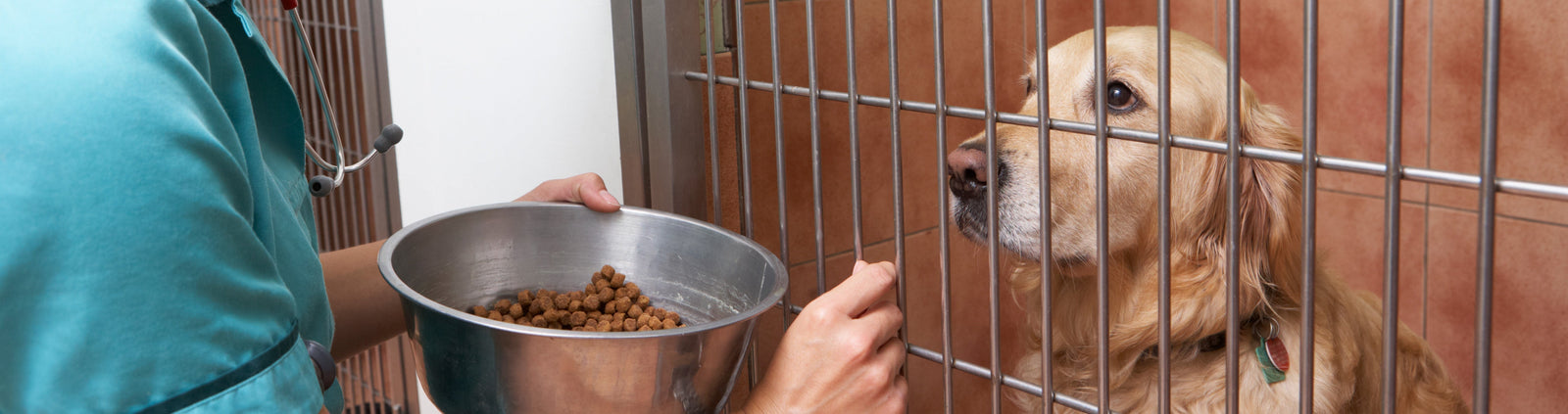 Environmental Considerations for Hospitalised Patients