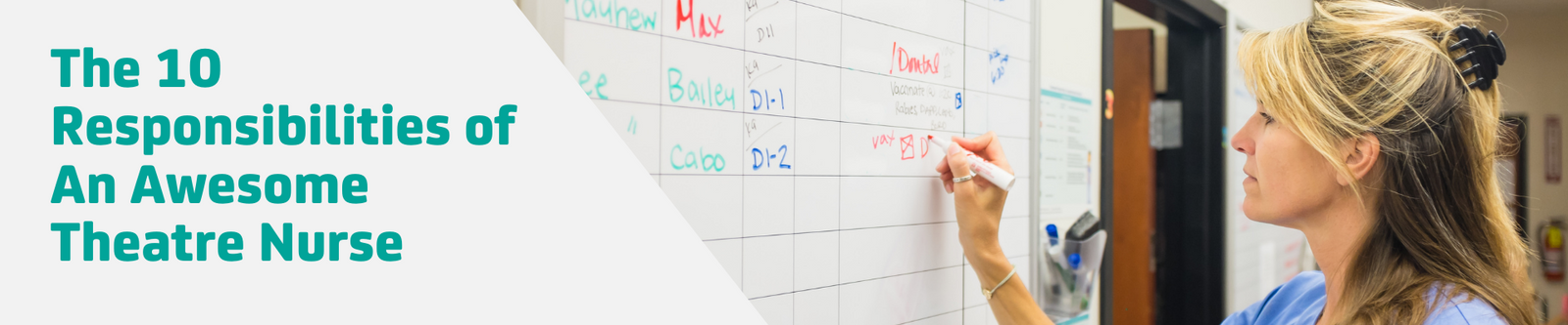 Theatre Nursing: The Role of A Vet Nurse During Surgery