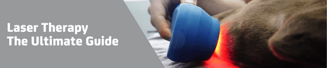 Veterinary Laser Therapy - The Ultimate Guide
