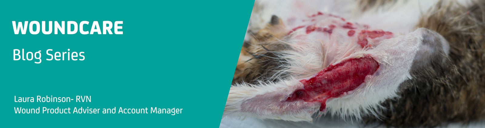 April Wound Blog – A Protocol for Wound Management
