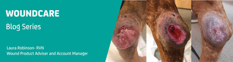 August Wound Blog - The use of Collagen for effective wound management
