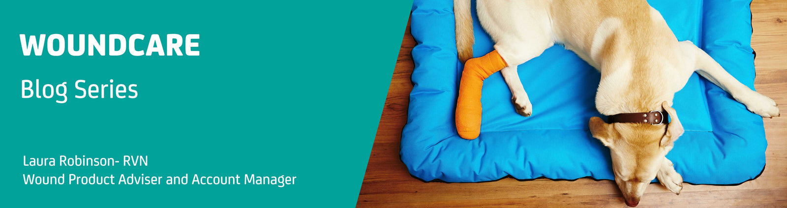 Best Practice in Managing Wounds and Bandaging