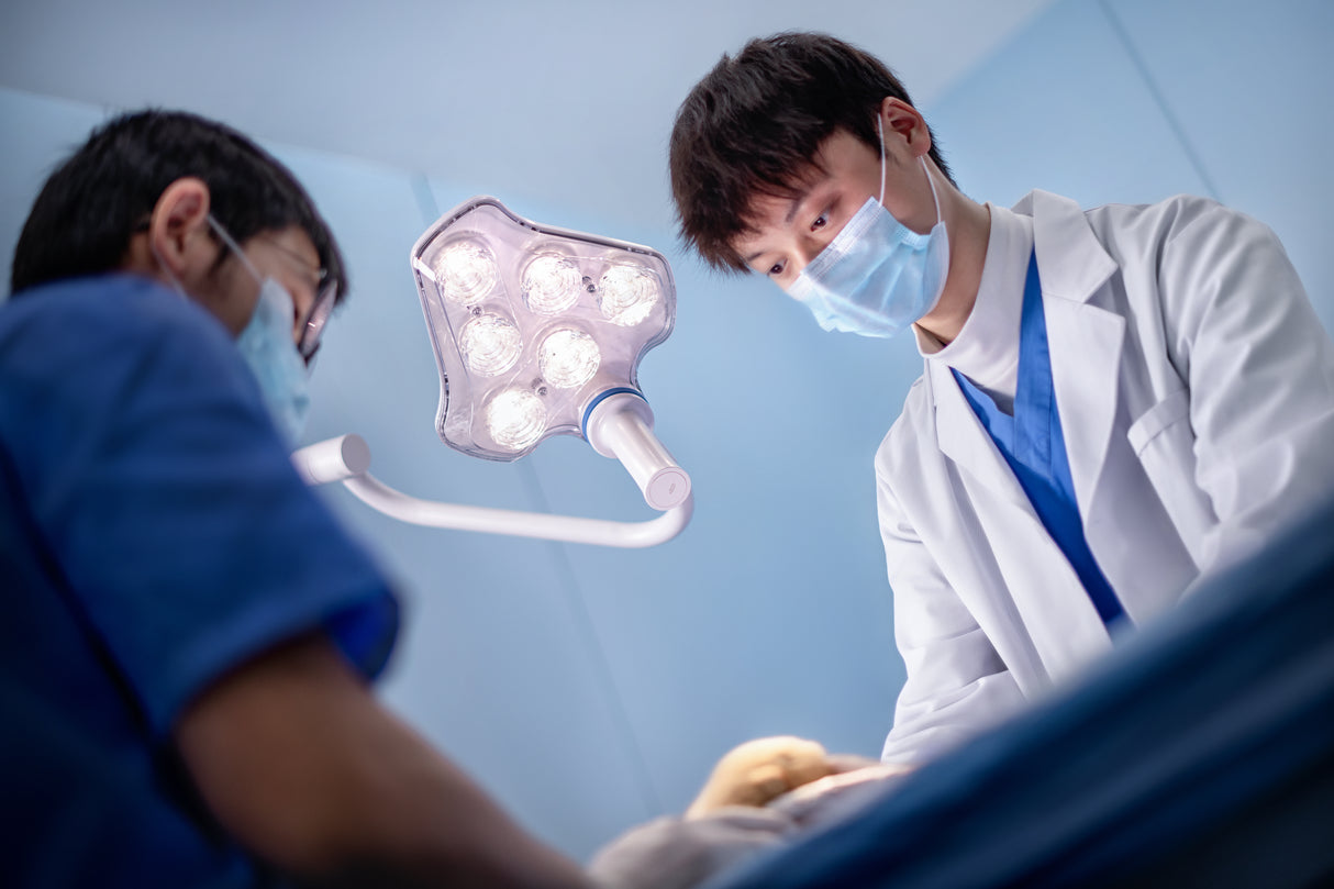 Mindray Animal VeLED E5 Examination Light - 1 head