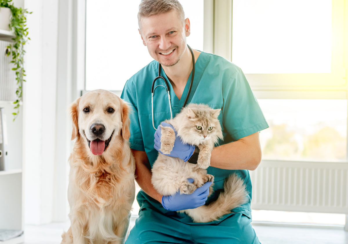 Veterinary equipment supported by Pioneer servicing