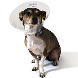 Betsy Clear Medivet Collar