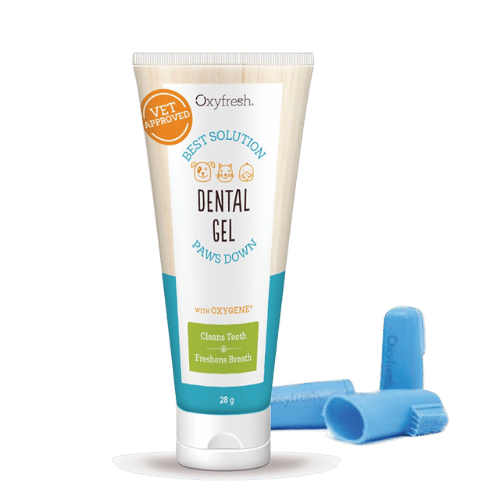 Oxyfresh Gel & Finger Brush Kit - 28g