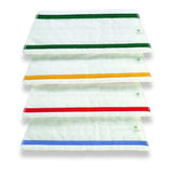 Duplex Janitorial Steam System