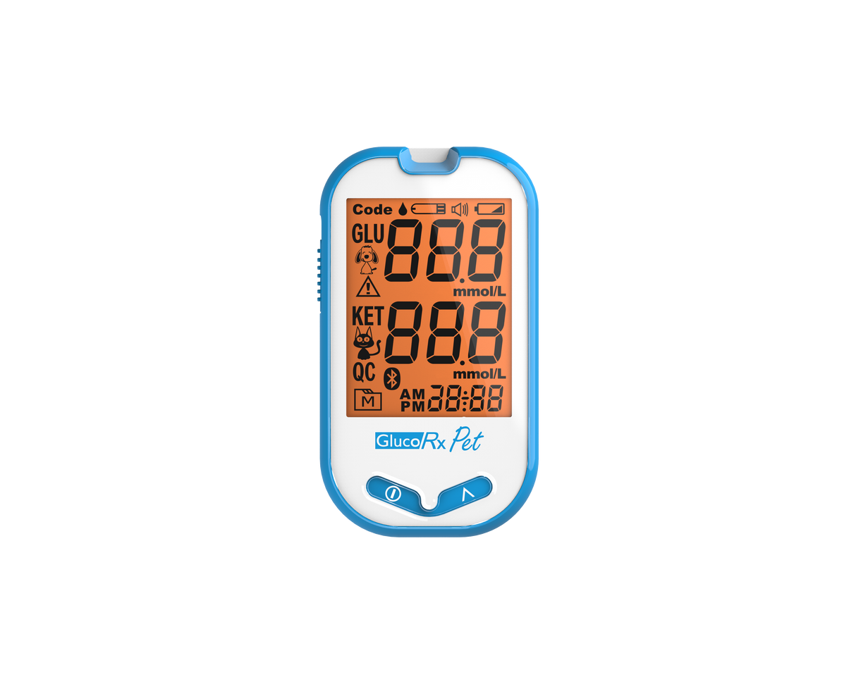 GlucoRx Pet Blood Glucose plus β-Ketone monitoring system kit and strips