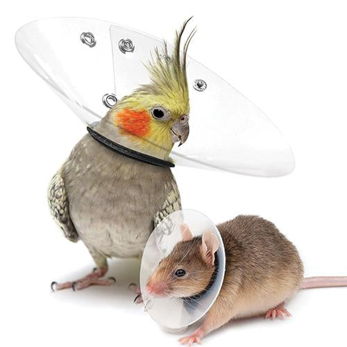 Bird, Rodent & Rabbit Recovery Collars (10 pack asstd)
