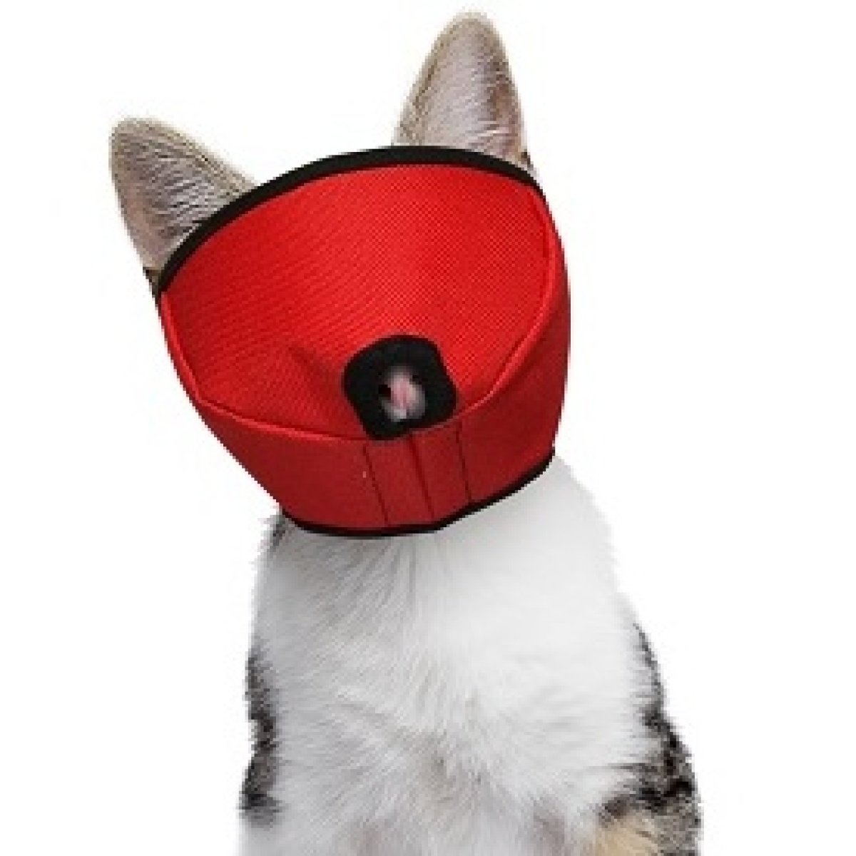 Quick Cat Muzzle
