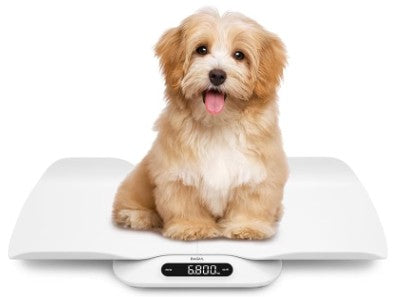 Small Digital Animal Veterinary Scales