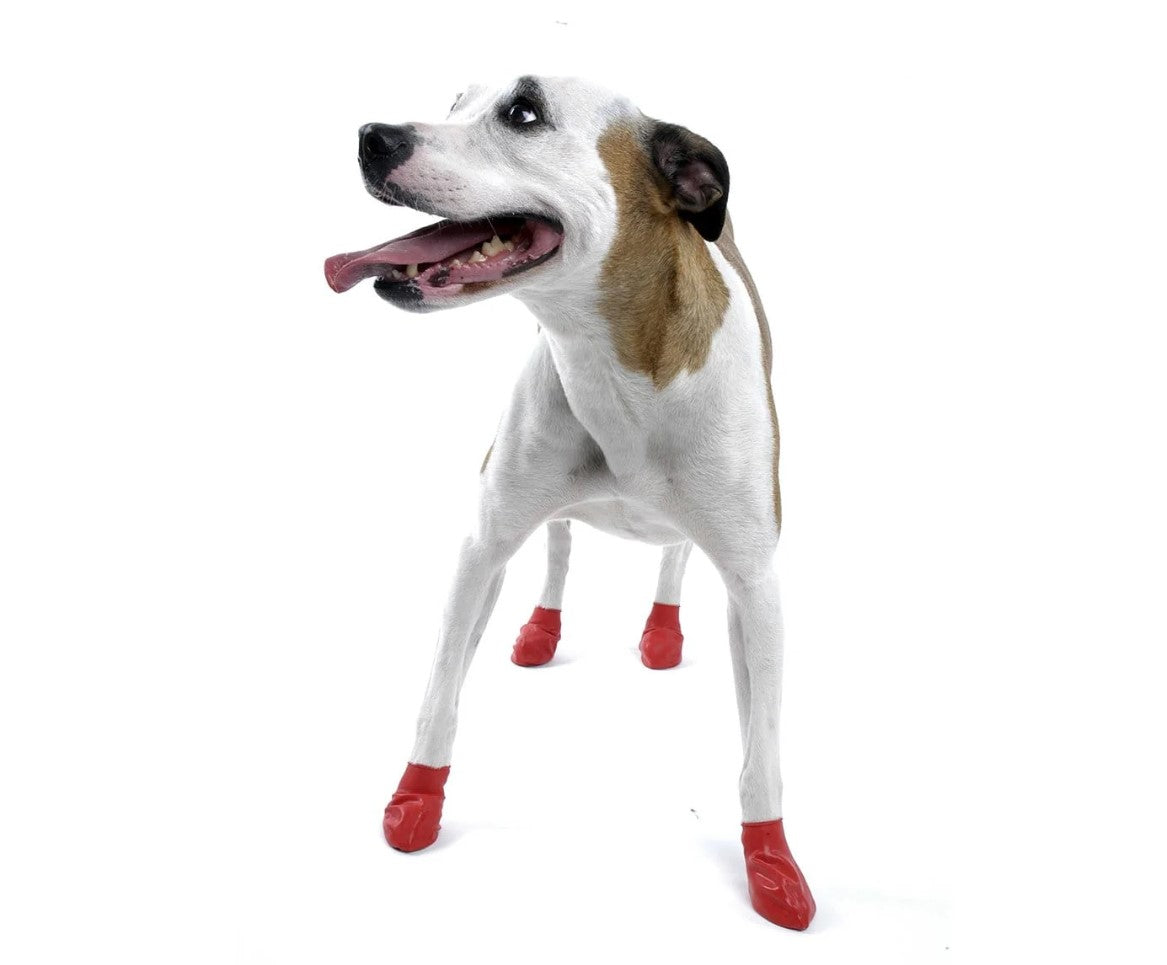 Pawz Dog Boots