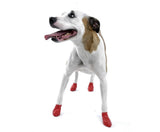 Pawz Dog Boots