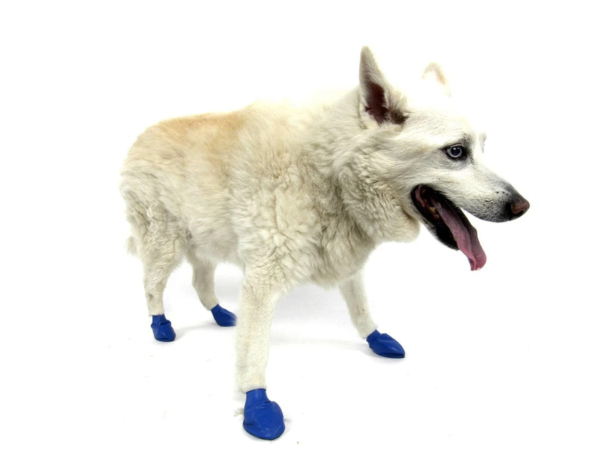 Pawz Dog Boots