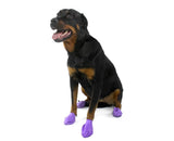 Pawz Dog Boots