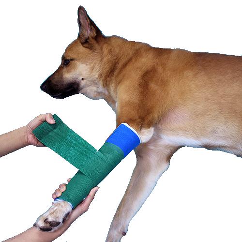 Caerus Splints