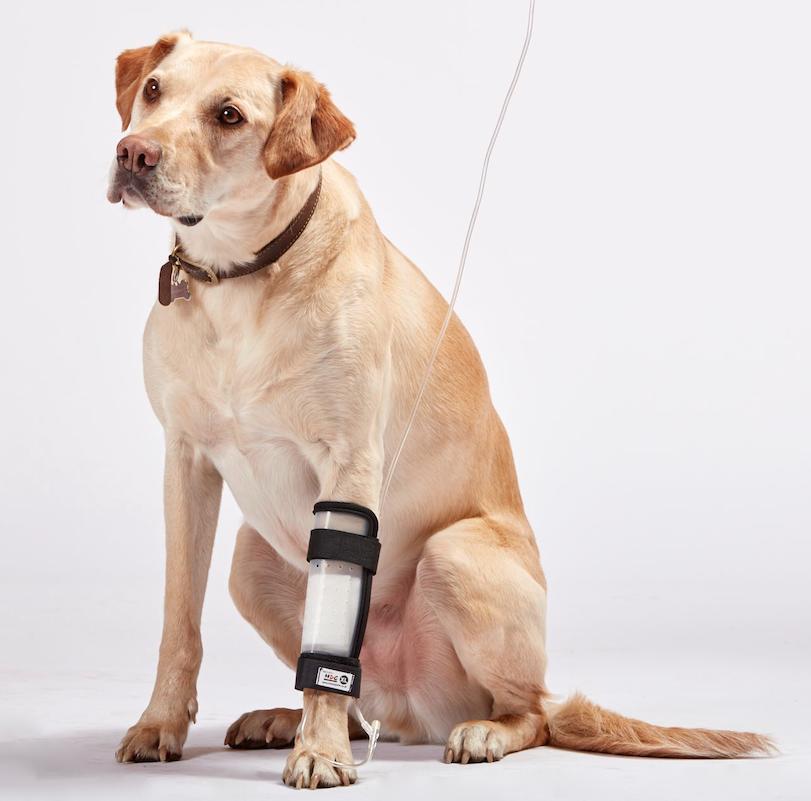 Smart IV Catheter Guard – Pioneer Veterinary Products