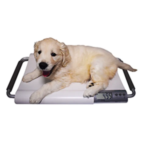 Small Veterinary Scale