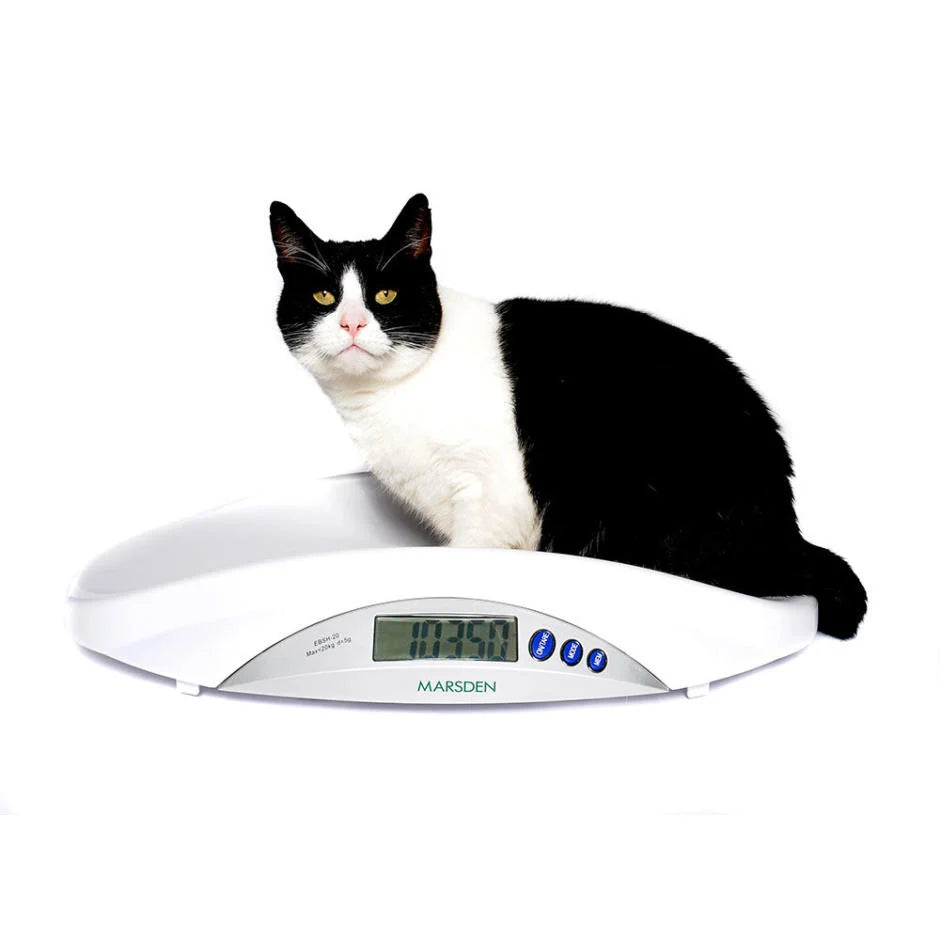Small Animal Vet Scales
