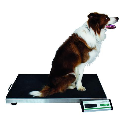 Large veterinary Scales - 900x550mm, 150kgx10g