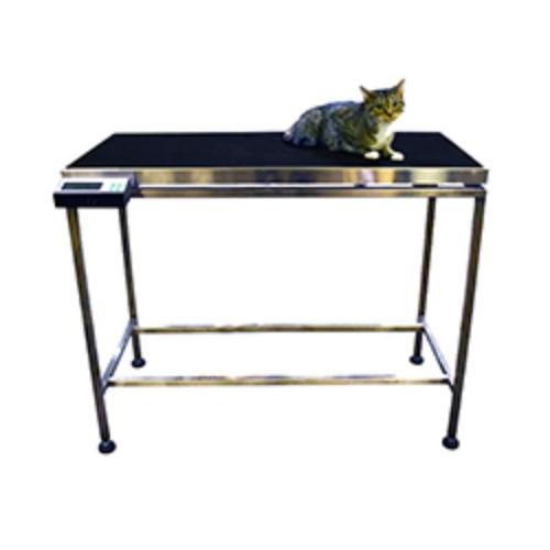 Veterinary Consultation Weighing Table - 1160x550x830mm, 250kgx100g