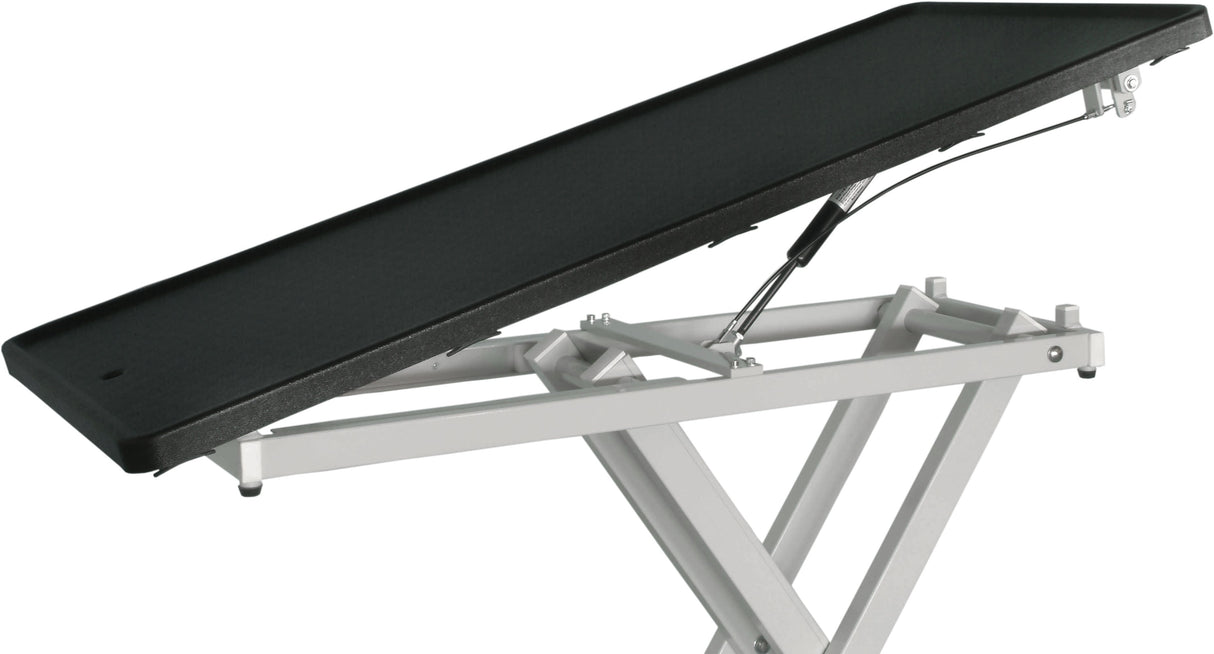 Vet Lift Surgical Tables