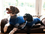SIMBA® Pet Shirt