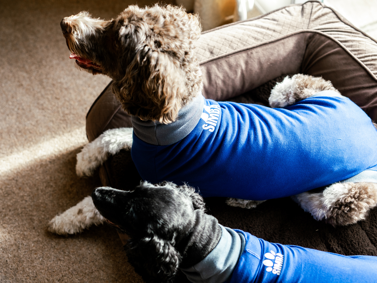 SIMBA® Pet Shirt