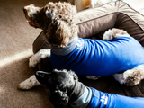 SIMBA® Pet Shirt