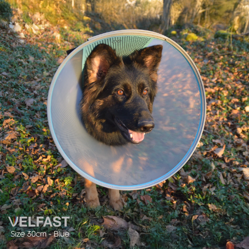 Velfast Collar