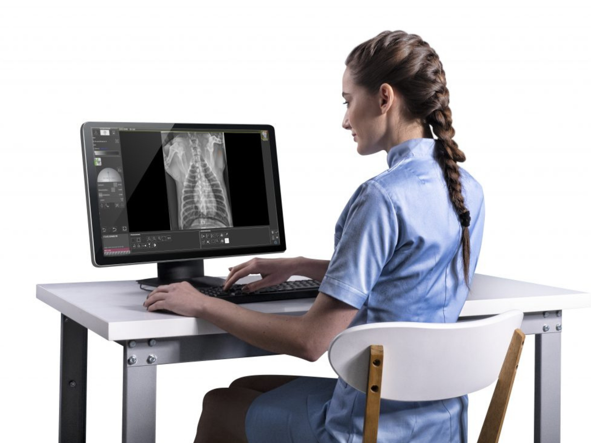 Vision Vet DR Vet System