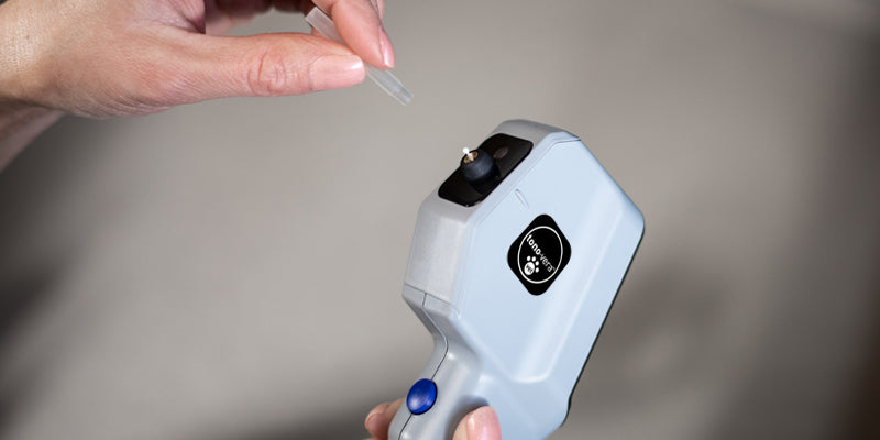 Reichert® Tono-Vera® Ocu-Dot Tonometer Probes