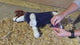 SIMBA® Pet Shirt